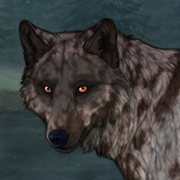 ○F Dravite MerWinOpo stal Headshot