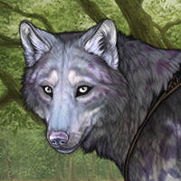 Crystalfinder ☼ Headshot