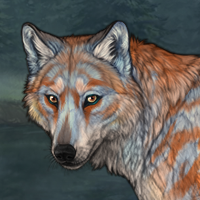 Male fox keep s change Headshot