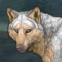 Yasha Nydoorin Headshot