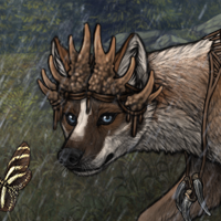 Forest's Guardian Headshot