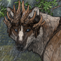 Forest's Guardian Headshot