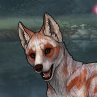 Kitsune Okami Headshot