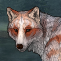 Kitsune Okami Headshot