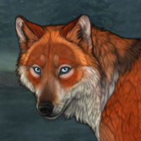 Chaser Fox [3] Headshot