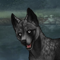 Shasta's Akuu Headshot