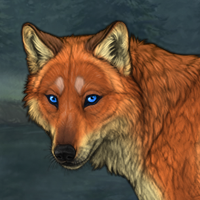 fox 1 Headshot