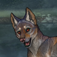 T2 Dinar G3 Fox Eye Pup Headshot