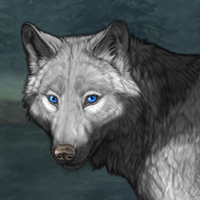 Wolf Headshot