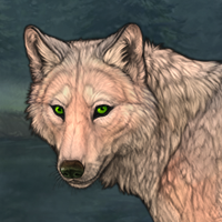 Feldspar Headshot