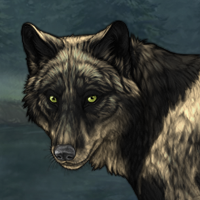 Wolf Headshot