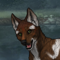 tii 3m g13 holly rnc Headshot