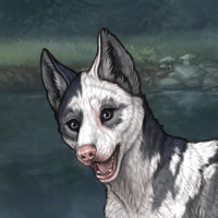 Sphalerite Piebald Headshot