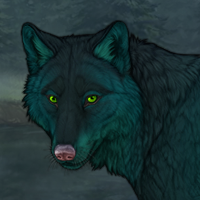 Kelpie Headshot