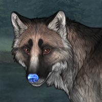 Raccoon Headshot