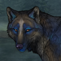 Meadhan-Oidhche Headshot