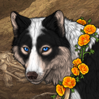 Wolf Headshot