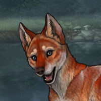 Enclave Pup Headshot