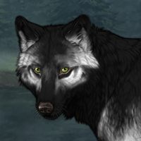 Wolf Headshot