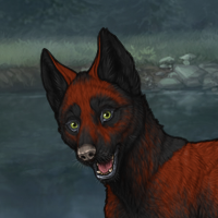 lead red male pup Headshot
