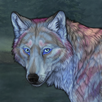 Arora Winterwolf Headshot