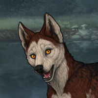 Zira Headshot