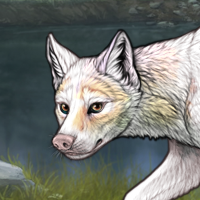 Piebald: Uneven Headshot