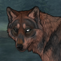 Halkrath Puppy Headshot