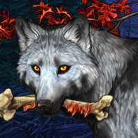 Wolf Headshot