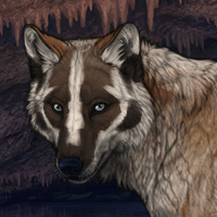 Rozmara Headshot