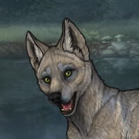 Kelpie Headshot