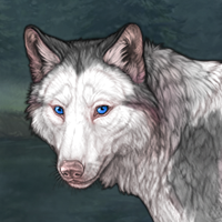 Piebald: Frontal T2 Headshot