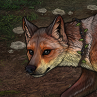Aero Headshot
