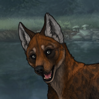 Thornpup Headshot