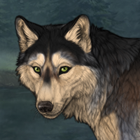 Wolf Headshot