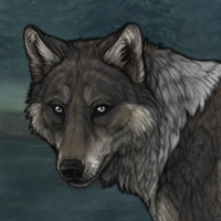 Skoll Headshot