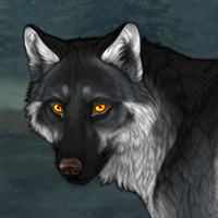 Wolf Headshot