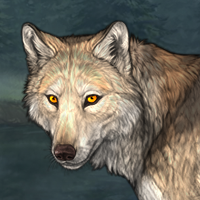 Wolf Headshot