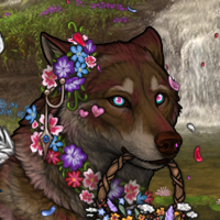 Wolf Headshot