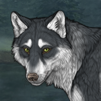 Wolf Headshot