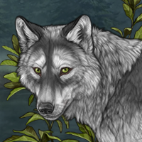 Wolf Headshot