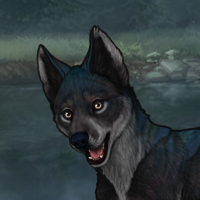 Night Howl Headshot