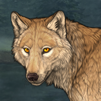 Wolf Headshot