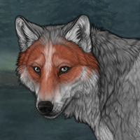 Grey Fox Headshot