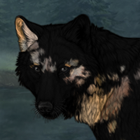 Raaja Headshot