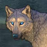 Dawnpelt Headshot