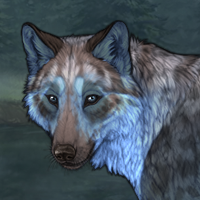 Isbreen Headshot