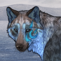 Isbreen Headshot