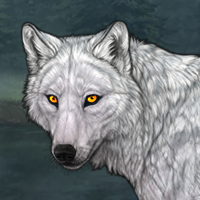 Skoll Headshot