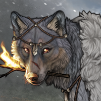 Wolf Headshot